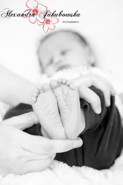 Oakville Newborn Photos