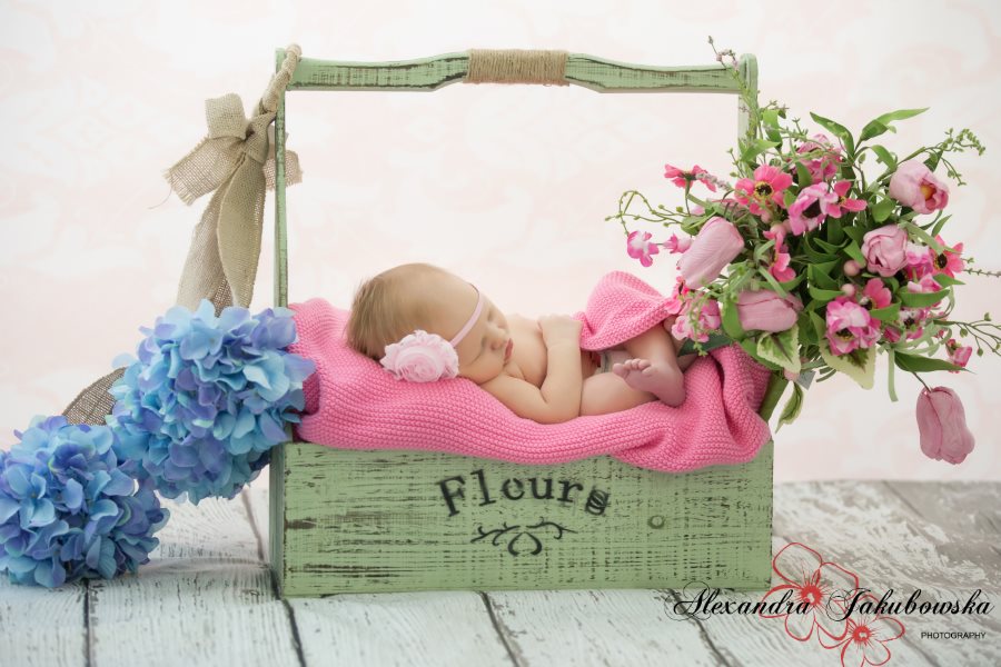 Oakville Kids Photographer